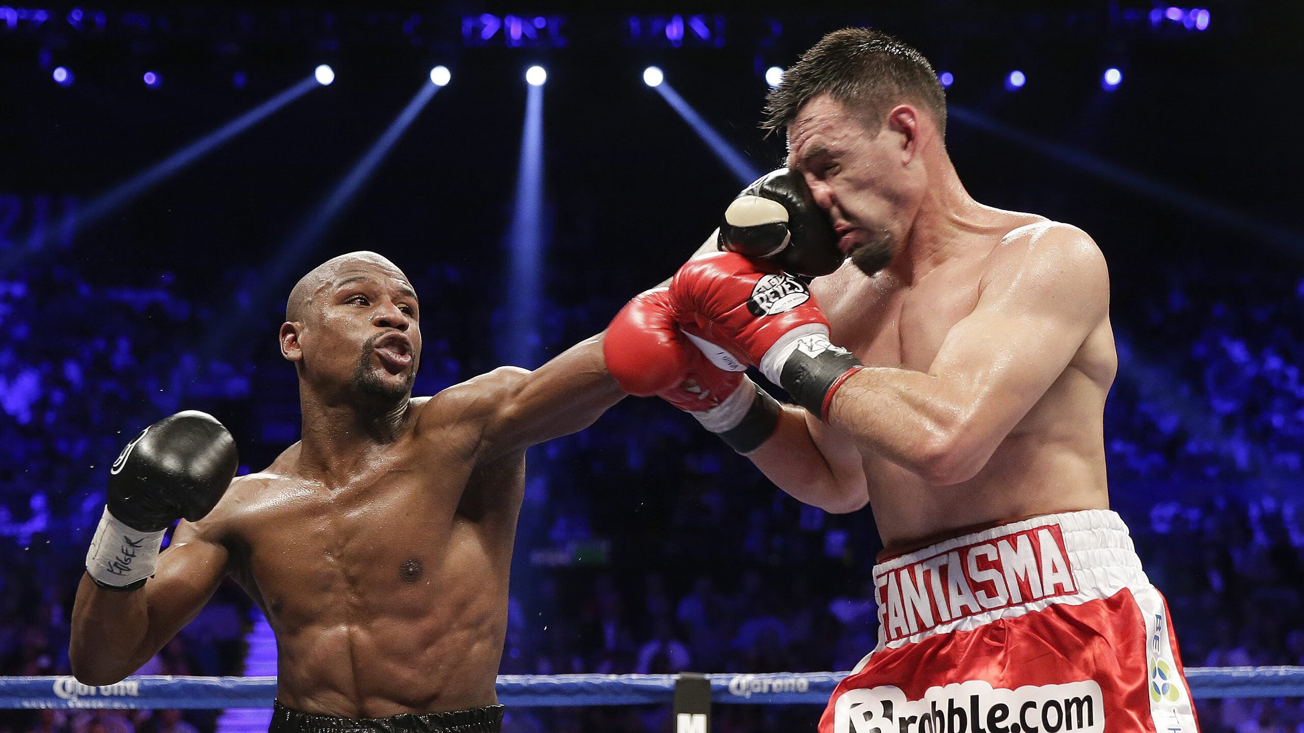 开云体育官方入口-瑞士马术协会授予史蒂夫·古尔达特“年度最佳盛装舞步骑手”称号。